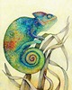 plakaty Plakat Cameleon
