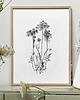 grafiki i ilustracje Aminek 30x40 - grafika botaniczna
