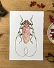 grafiki i ilustracje Owad czerwony 30x40