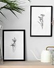 grafiki i ilustracje Zestaw dwóch grafik botanicznych