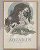 plakaty Plakat Zodiac Aquarius