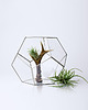 doniczki Szklarnia nr 3, Terrarium, Donica, Wazon