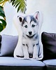 poduszki z grafiką Poduszka piesek przytulanka z pieskiem pies maskotka pies husky