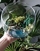 dodatki - różne Terrarium natura zamknięta w szkle