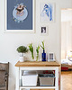plakaty Plakat Forgetmenot SUMMER