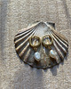 kolczyki pozłacane Kolczyki pozłacane pearl