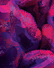 grafiki i ilustracje Cosmic lips