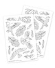 naklejki i wlepy Ptaki, Pióra - Naklejki do Kolorowania