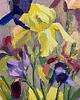 obrazy "Irysy" 24*30 cm/malarstwo olejne