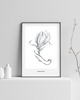 grafiki i ilustracje "Niewinność" Magnolia