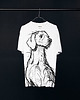 t-shirty męskie Weimaraner Dog Men's T-shirt