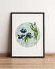 plakaty Plakat "Foki", A3