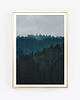 fotografia Forest, plakat, grafika, fotografia