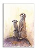 grafiki i ilustracje Urocze Surykatki - Obraz Akwarelowy