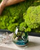 dodatki - różne Terrarium natura zamknięta w szkle