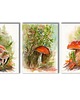 grafiki i ilustracje Akwarele ręcznie malowane "Grzybki" zestaw 3szt