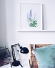 grafiki i ilustracje Łubin wydruk