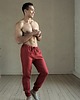 spodnie męskie Spodnie lniane męskie / sportowe / casual / 100% len