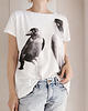 t-shirt damskie Kawki akwarele fullprint Biały Oversize