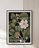 plakaty Plakat vintage - botaniczna ilustracja no.3