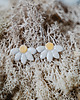 kolczyki ceramiczne Kolczyki ceramiczne DAISY