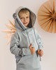 bluzy dla chłopców Bluza BEAR grey