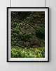 plakaty Tarasy uprawne, Madera, plakat, fotografia