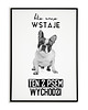 plakaty Plakat z psem - kto rano wstaje - buldog francuski