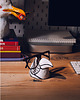 okulary damskie Stojak na okulary Oliver
