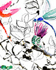 grafiki i ilustracje Dragonfly 4 - grafika