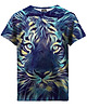 t-shirty dla chłopców T-shirt Boy DR.CROW Tiger Art
