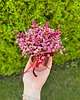 kwietniki Mini flowerbox suszki trwały