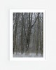 fotografia Śnieg w lesie