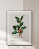 plakaty Plakat z botaniczną ryciną ILEX