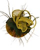 fascynatory Fascynator miodowy