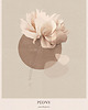 grafiki i ilustracje Ilustracja PEONY