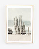 plakaty cactus vintage fotografia plakat