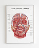 plakaty Plakat Unaczynienie Twarzy