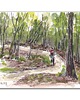 grafiki i ilustracje Rower MTB, góry. Jesenik. Grafika ręcznie malowana