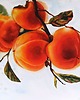 obrazy "Kaki" 36*48cm/ akwarela