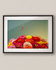 plakaty Plakat poziomy Wiosna - Kolaż Fine Art
