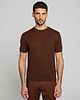 t-shirty męskie T-shirt dorzano ceglasty