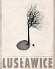 plakaty Plakat Lusławice (R. Kaja) 98x68 cm