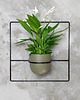kwietniki Kwietnik Pilea+ czarny