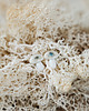 kolczyki ceramiczne Kolczyki porcelanowe FUNGI