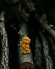 świece zapachowe Świeca woskowa aniołek z sercem (6,5 cm)
