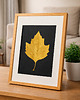 Ozdoby na ścianę Złoty Liść Platan Klonolistny w Dębowej Ramie 20x30cm. Naturalny Obraz