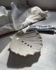 mydelniczki Ceramiczna Mydelniczka z Odpływem Muszelka Muszla Biały Rustykalny