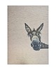 notatniki i albumy Notes Jestem tu 24x17 cm 180 stron ecru