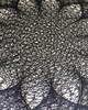 obrazy Obraz Rozeta string art czarno-biała